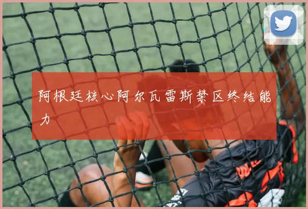 阿根廷核心阿尔瓦雷斯禁区终结能力