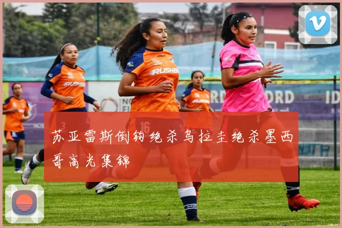 苏亚雷斯倒钩绝杀乌拉圭绝杀墨西哥高光集锦