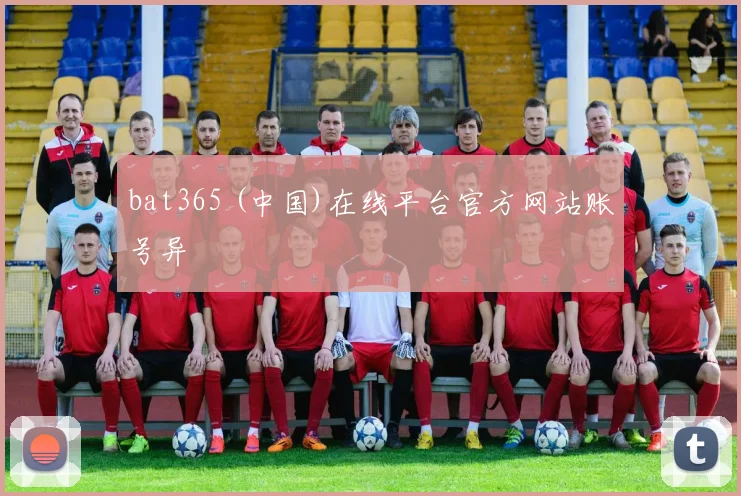 bat365 (中国)在线平台官方网站账号异
